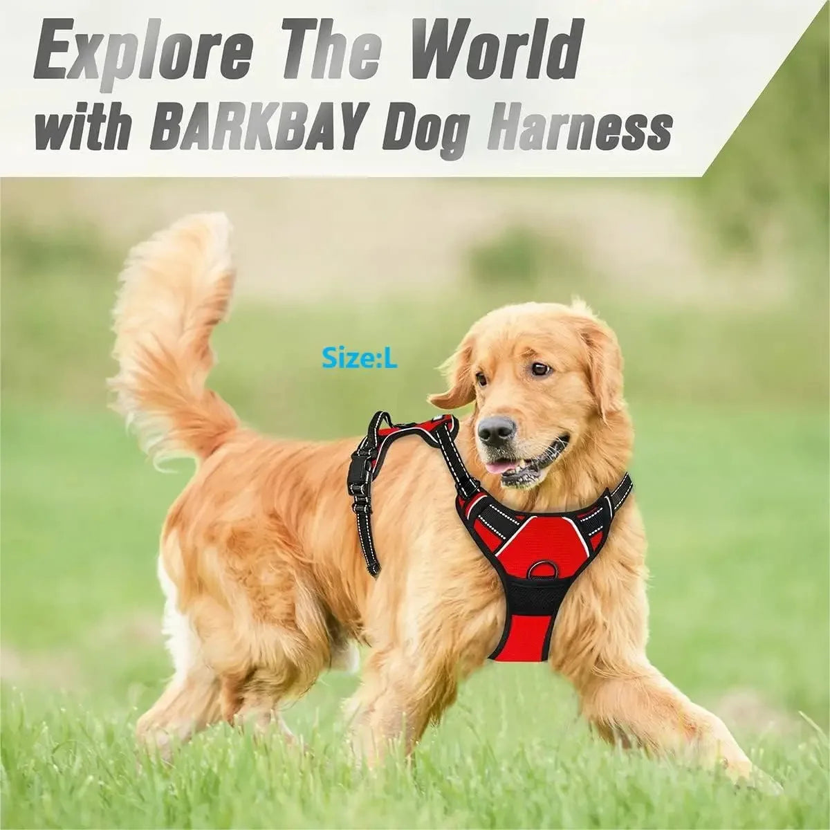 Dog Harness Vest with Leash – Adjustable Puppy Collar Accessory