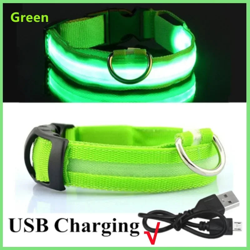LED USB Rechargeable Dog & Cat Collar – 3 Light Modes, Night Safety