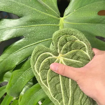 Washable Clear Plant Print Towels Ultra-Absorbent Quick-Dry Hanging Loop Bathroom Kitchen Thumb Hand