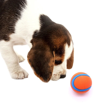 Tough Chew-Proof Dog Fetch Ball for All Breed Sizes