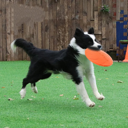 Silicone Dog Frisbee Chew-Resistant Flying Disc Toy