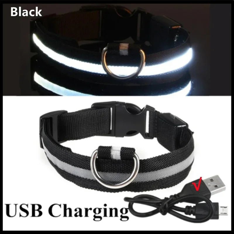 LED USB Rechargeable Dog & Cat Collar – 3 Light Modes, Night Safety