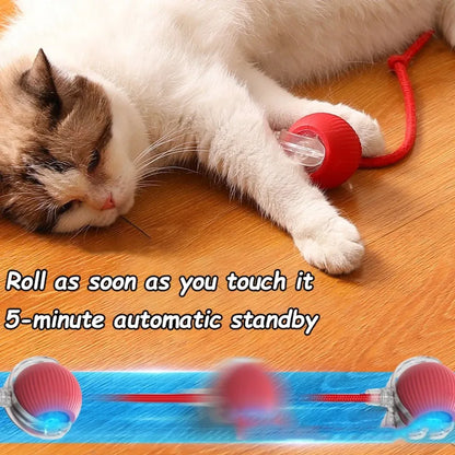 Interactive Pet Ball Toy – Auto-Rolling, Rechargeable, Faux Tail