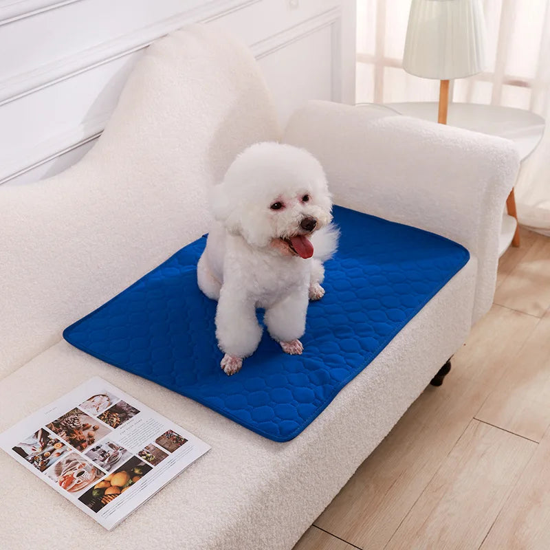 Reusable Dog Pee Pad – Washable Absorbent Training Mat