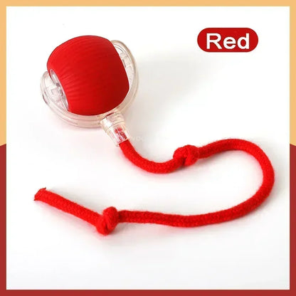 Interactive Cat Ball Toy with Spinning Tail – Self-Moving