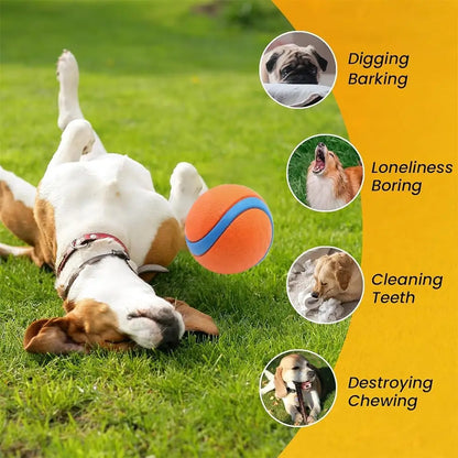 Natural Rubber Dog Ball Toy – Non-Toxic Bouncy Fetch Ball