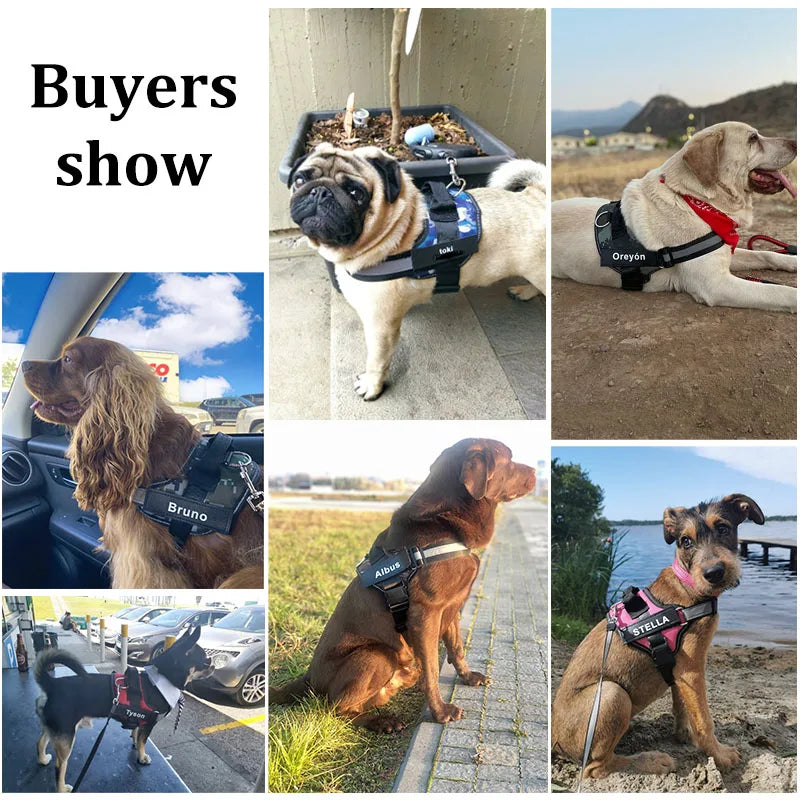 Personalized No-Pull Dog Harness – Reflective Breathable Vest for Small to Large Dogs