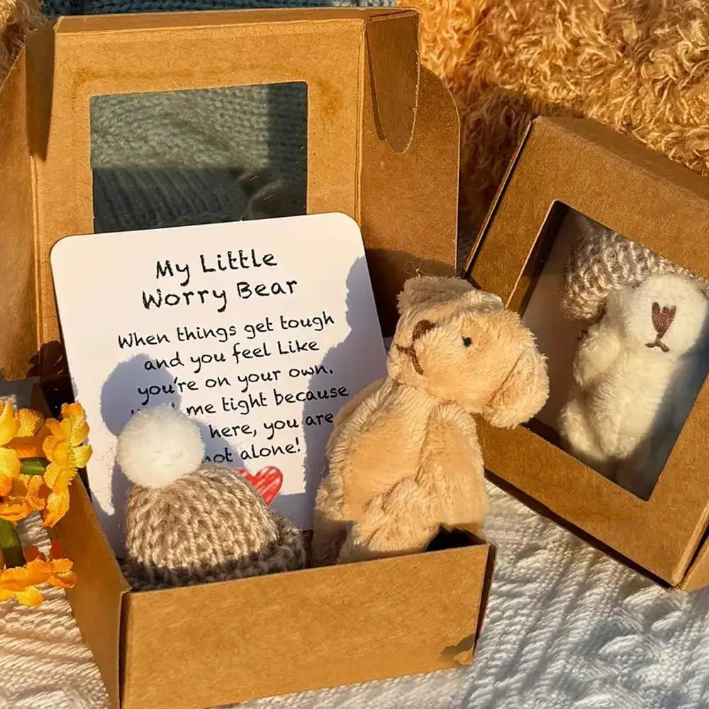 Pocket Worry Bear with Inspirational Card – Mini Plush Gift Box