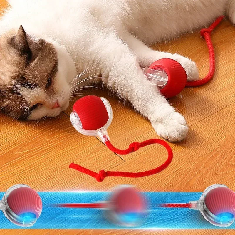 Interactive Rolling Ball Cat Toy with Tail – Rechargeable Smart Pet Toy