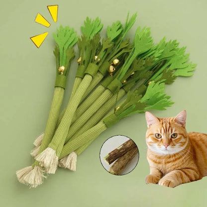 Catnip Molar Stick Cat Chew Toy with Bell
