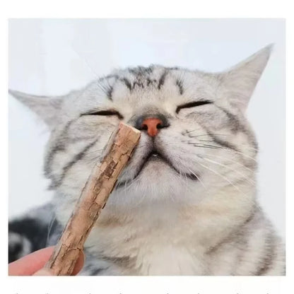 Catnip Chew Sticks – Natural Matatabi Teeth Cleaning Cat Toy (20 Pcs)