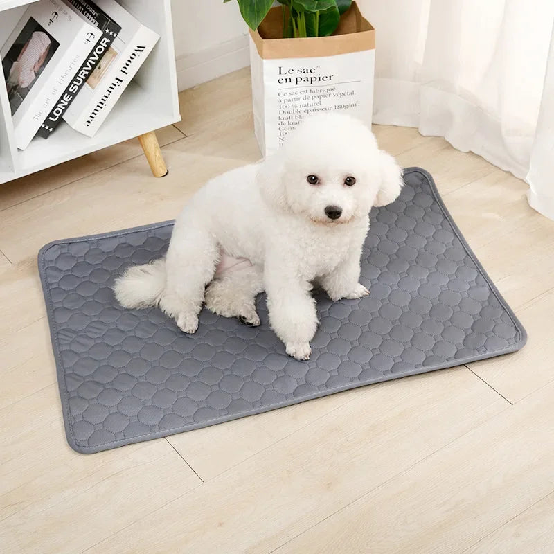 Reusable Dog Pee Pad – Washable Absorbent Training Mat