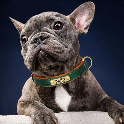 Personalized Leather Dog Collar with Engraved Nameplate