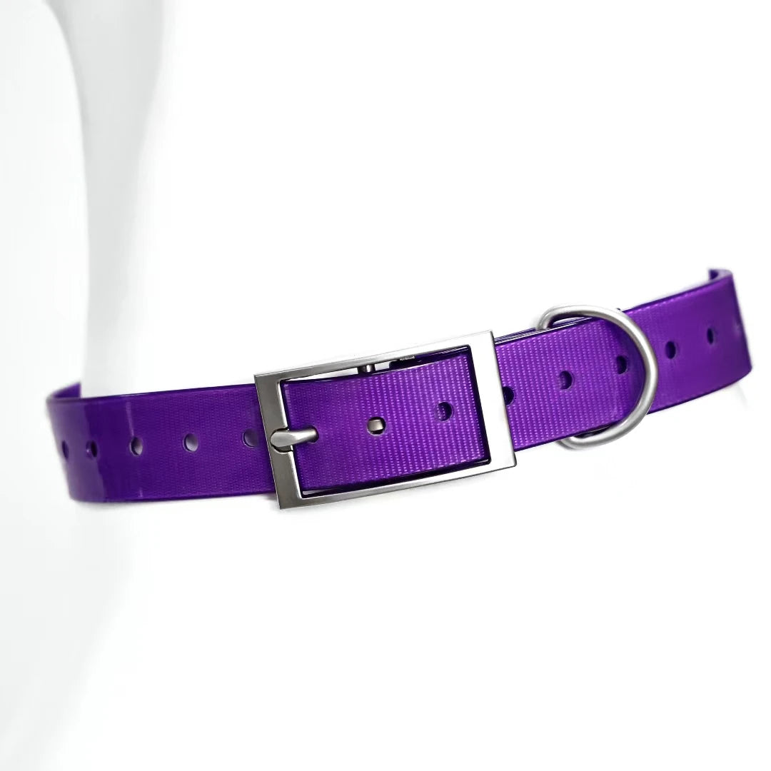 Heavy Duty Waterproof TPU Dog Collar – Adjustable, 8 Colors