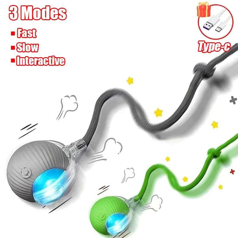 Interactive Rolling Ball Cat Toy with Tail – Rechargeable Smart Pet Toy