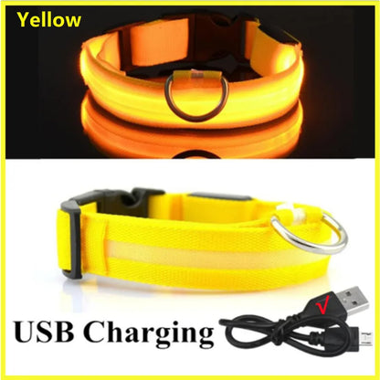 LED Dog Collar USB Rechargeable Glowing Safety Collar