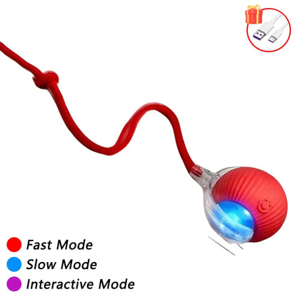 Automatic Cat Ball Toy – Smart Sensor Self-Moving Rechargeable