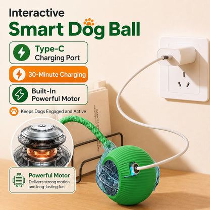 Interactive Rolling Ball Toy for Dogs & Cats – Rechargeable with Sound