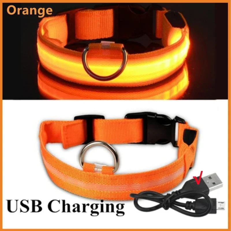 LED USB Rechargeable Dog & Cat Collar – 3 Light Modes, Night Safety