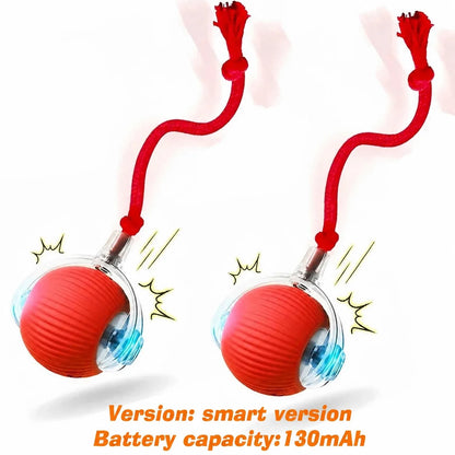 Interactive Rolling Ball Toy for Dogs & Cats – Rechargeable with Sound