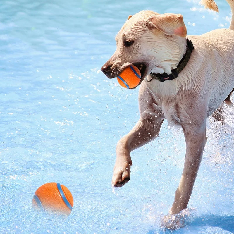Tough Chew-Proof Dog Fetch Ball for All Breed Sizes
