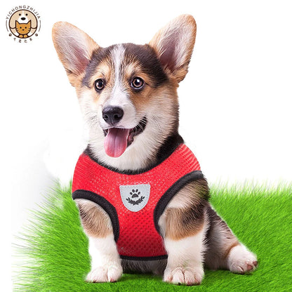 Adjustable Mesh Pet Harness Vest with Leash – Dog & Cat