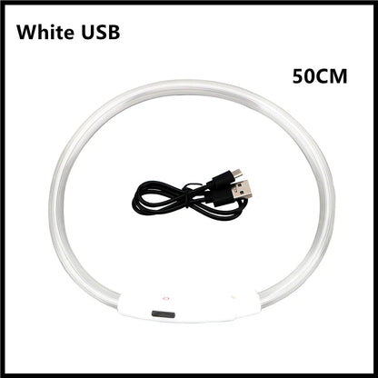 LED Dog Collar USB Rechargeable Glowing Safety Collar