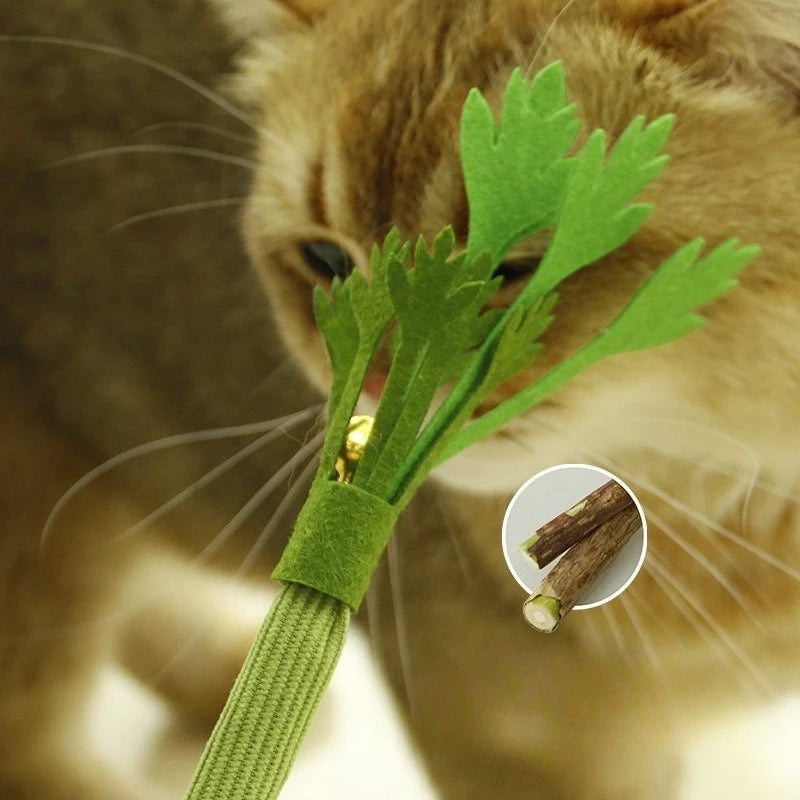 Catnip Molar Stick Cat Chew Toy with Bell