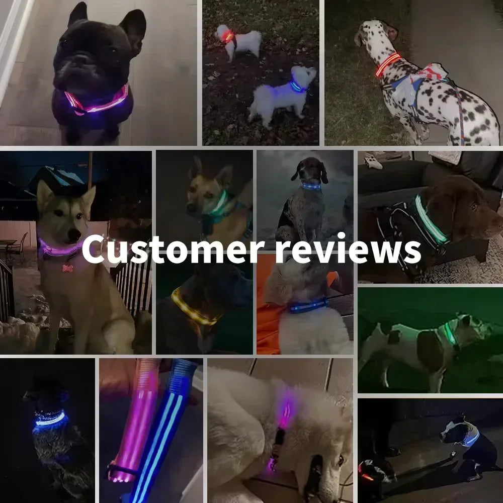 LED Dog Collar – USB Rechargeable Flashing Safety Light