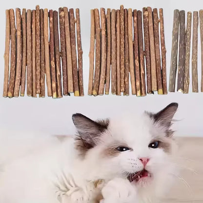 Cat Catnip Matatabi Chew Sticks – Natural Molar Dental Treat