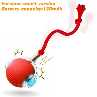 Interactive Rolling Ball Toy for Dogs & Cats – Rechargeable with Sound