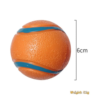Tough Chew-Proof Dog Fetch Ball for All Breed Sizes