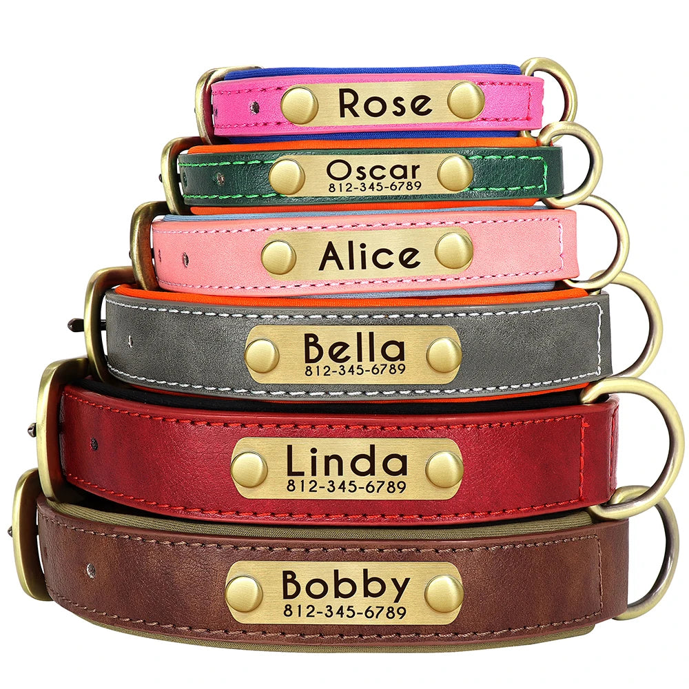 Personalized Leather Dog Collar with Engraved Nameplate