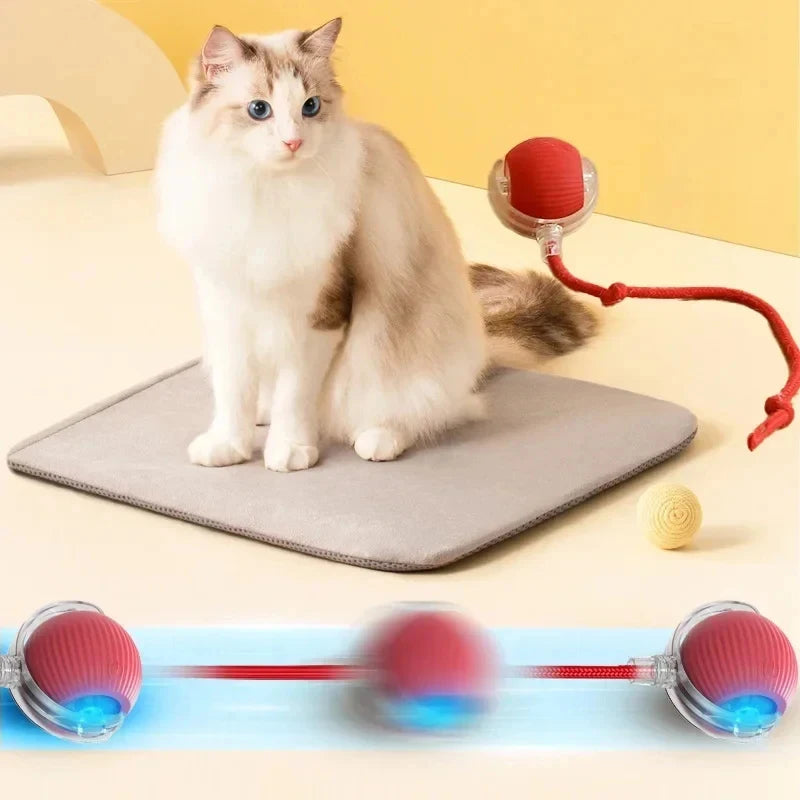 Automatic Rolling Ball Cat Toy with Fake Tail – USB Rechargeable
