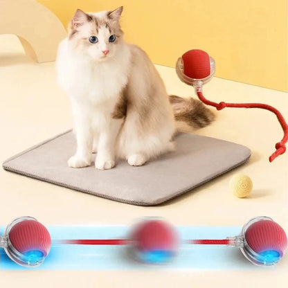 Automatic Rolling Ball Cat Toy with Fake Tail – USB Rechargeable