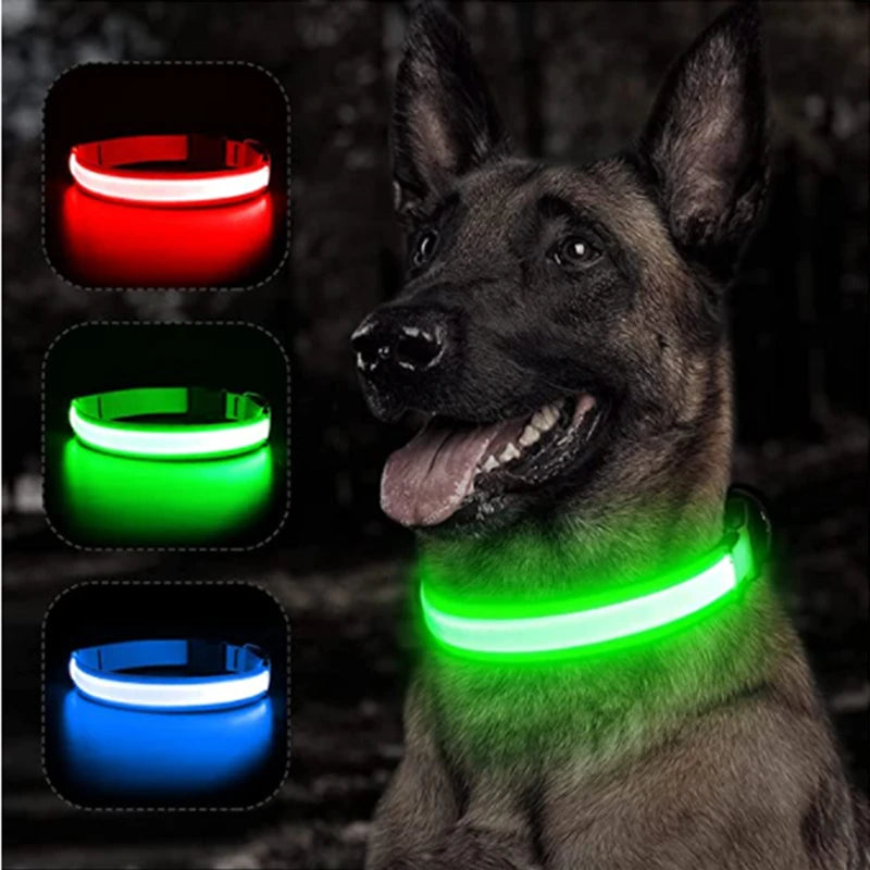 LED Dog Collar USB Rechargeable Glowing Safety Collar