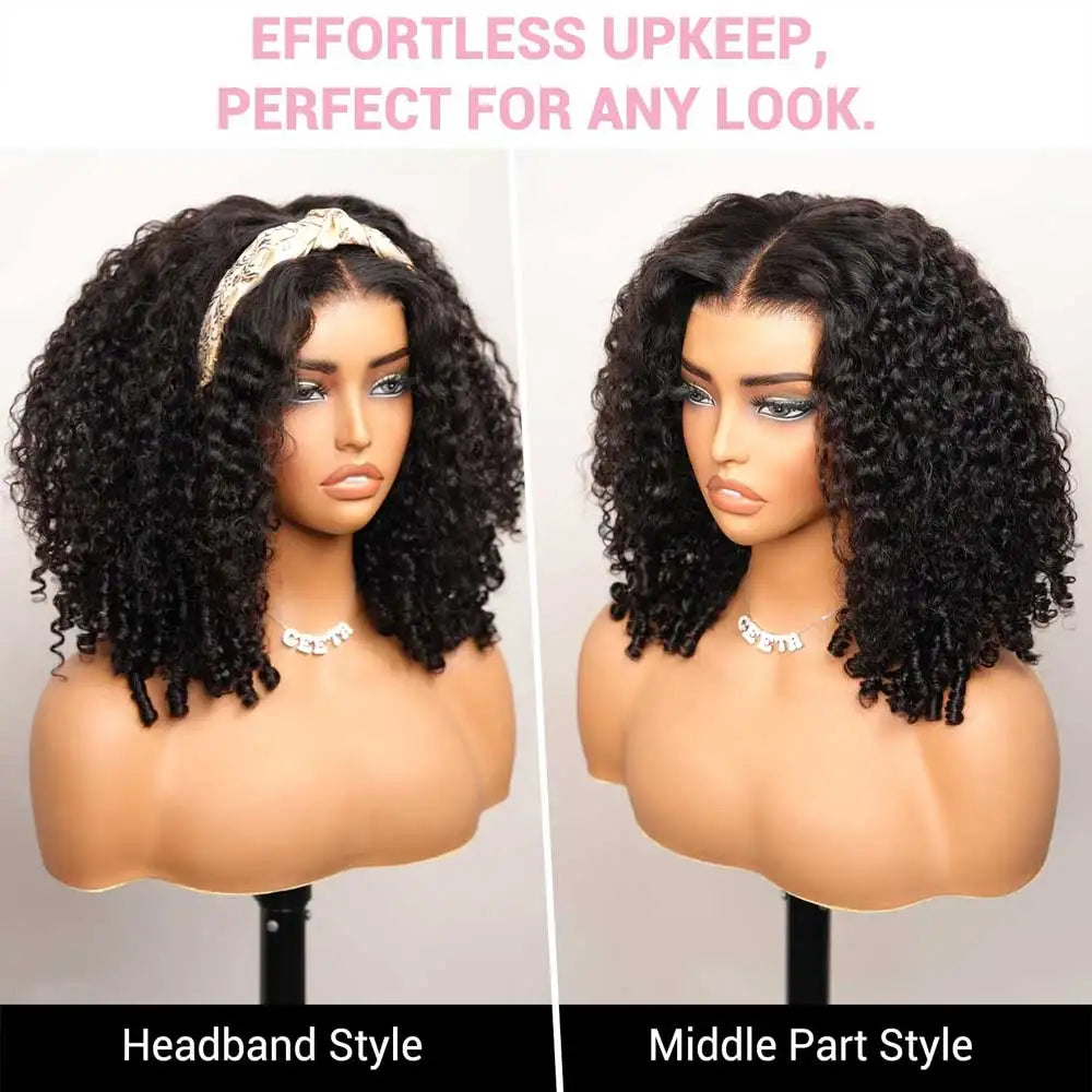 13x4 HD Lace Front Wig Burmese Curly Human Hair Pre Plucked