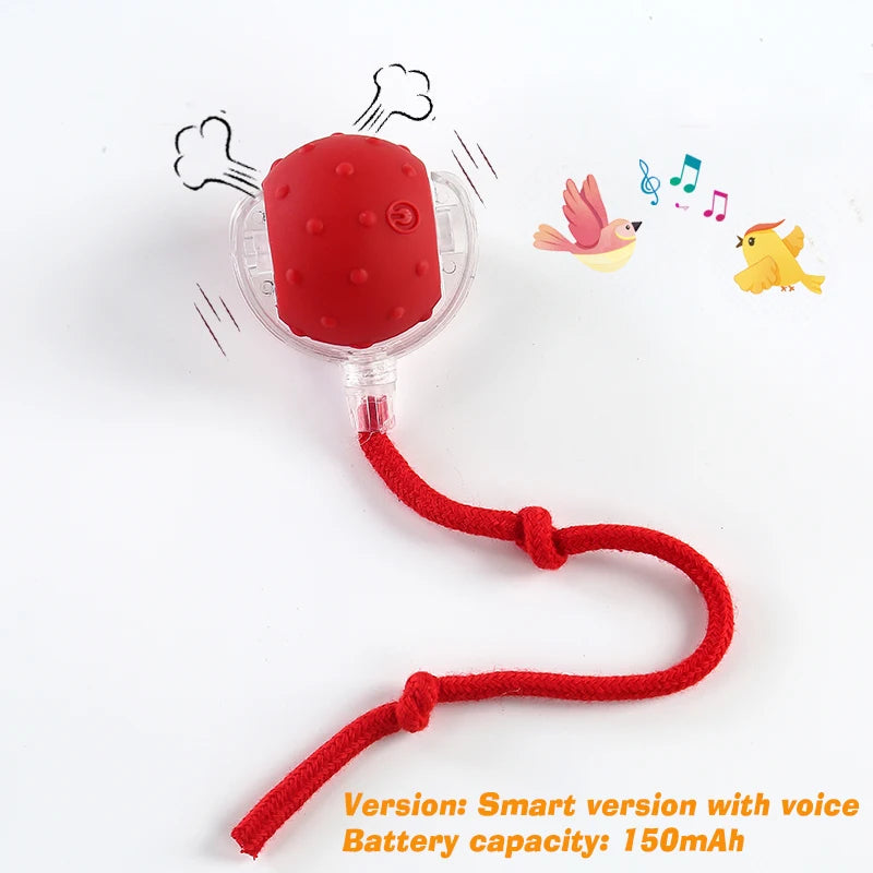 Interactive Rolling Ball Toy for Dogs & Cats – Rechargeable with Sound