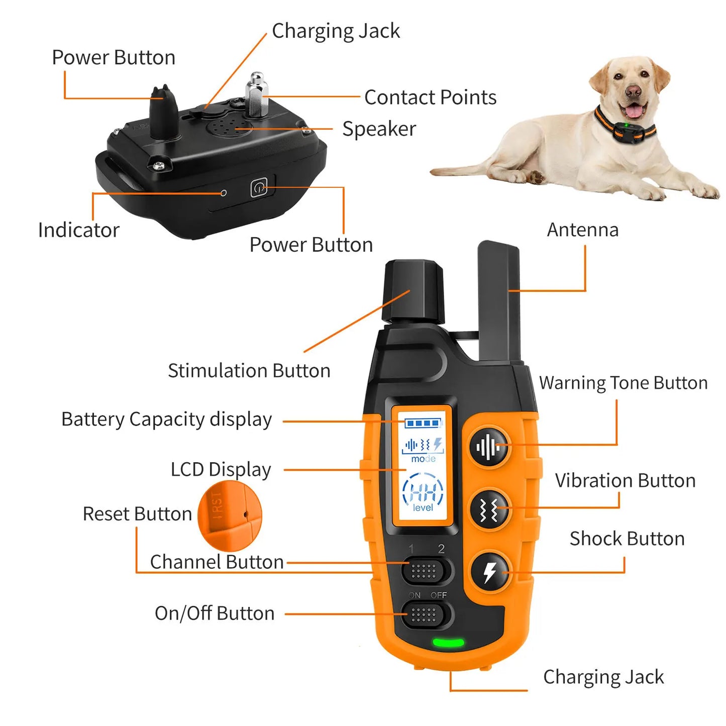 Electric Dog Training Collar – 3300ft Remote, Waterproof, for 5–120 lbs Dogs