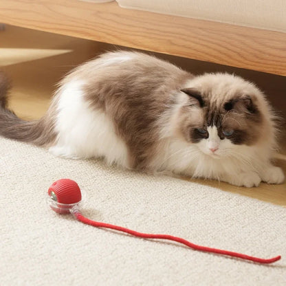 Interactive Rolling Ball Cat Toy with Tail – Rechargeable Smart Pet Toy