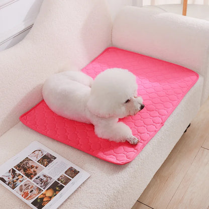 Reusable Dog Pee Pad – Washable Absorbent Training Mat