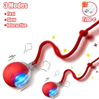 Interactive Cat Ball Toy – Automatic Rolling with Faux Tail, USB Rechargeable