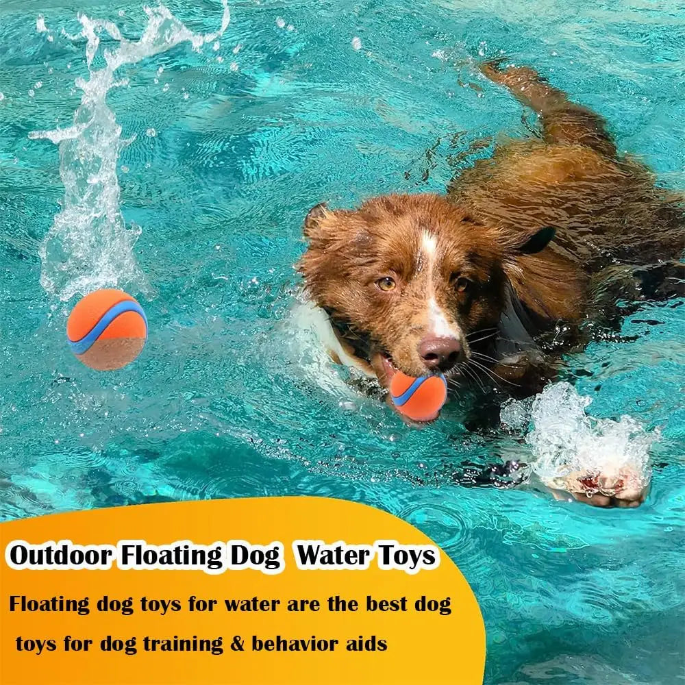 Natural Rubber Dog Ball Toy – Non-Toxic Bouncy Fetch Ball