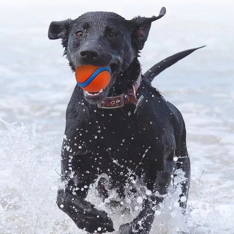 Tough Chew-Proof Dog Fetch Ball for All Breed Sizes