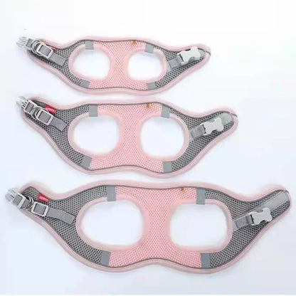 Breathable Mesh Dog Harness Vest – Adjustable No-Pull for Small Pets