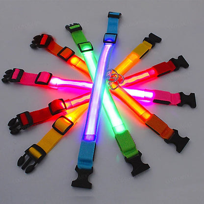 LED USB Rechargeable Dog & Cat Collar – 3 Light Modes, Night Safety