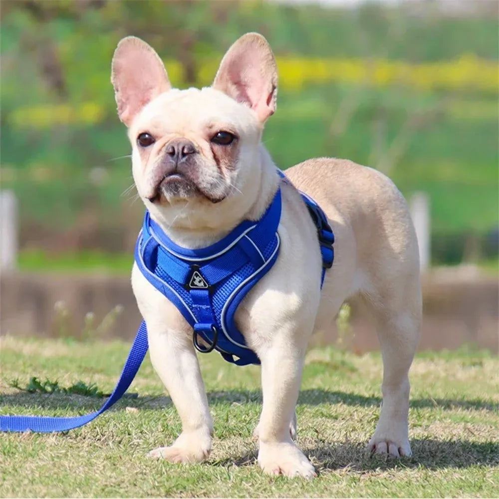 No-Pull Dog Harness & Leash Set – Adjustable Reflective Vest