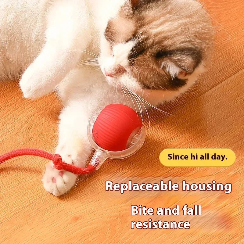 Automatic Rolling Ball Cat Toy with Fake Tail – USB Rechargeable
