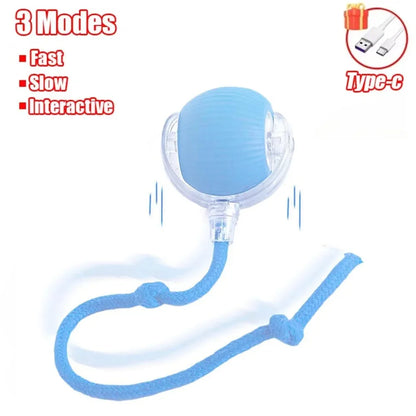 Interactive Pet Ball Toy – Auto-Rolling, Rechargeable, Faux Tail