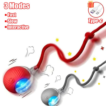 Interactive Cat Ball Toy – Automatic Rolling with Faux Tail, USB Rechargeable